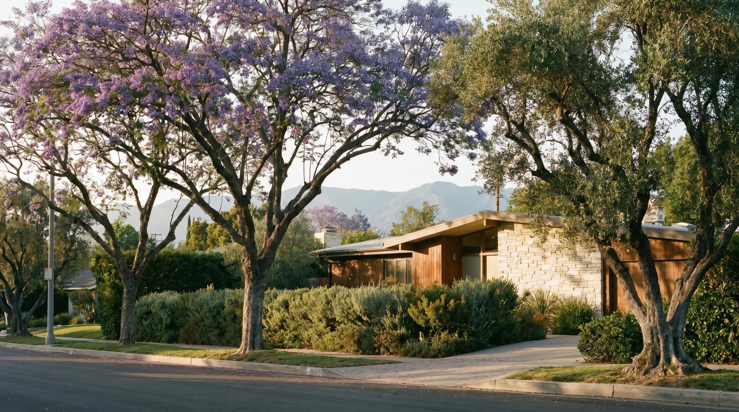 Landscape and hardscape across Los Angeles County