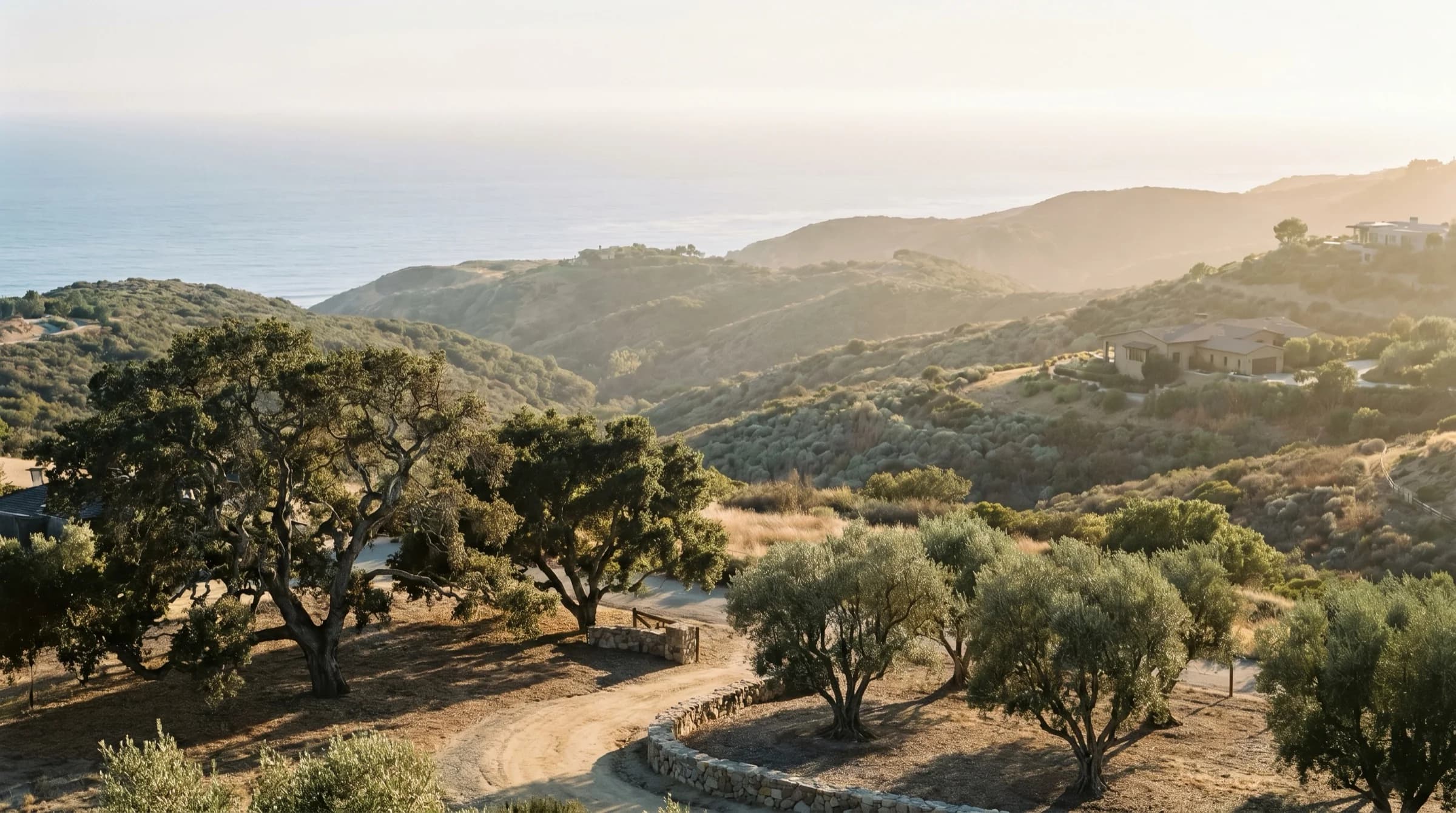 Architectural coastal landscaping in Orange County
